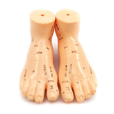 13cm足部按摩足模型脚模型穴位模型反射区按摩足部足穴 一对装