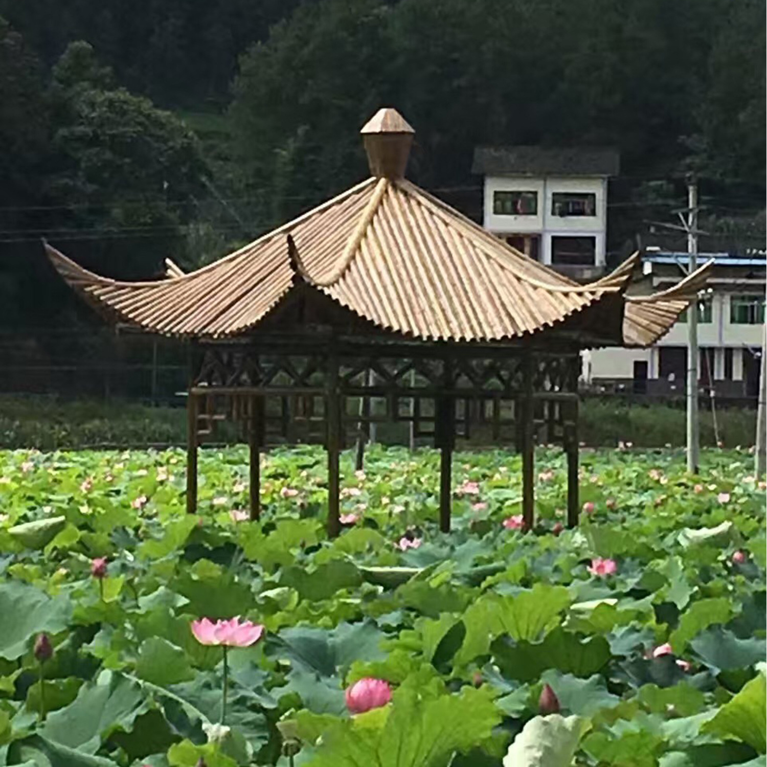 免费设计承接竹亭竹楼竹房子竹景观竹长廊竹材装修竹桥竹建筑牌坊