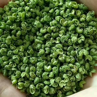 云南青花椒图片_云南青花椒图片大全 - 阿里巴巴海量精选高清图片