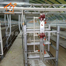 三层传送带式肉鸡笼 自动化养殖育雏鸡笼子 全新肉鸡笼耐磨