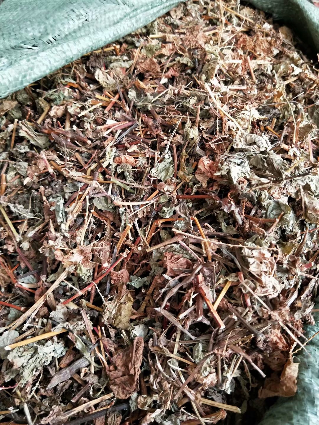 批发中药材扛板归 河白草 蛇倒退 犁头刺 每件500克