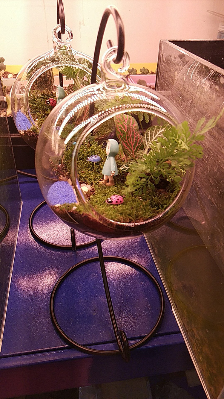 微景观生态瓶玻璃球苔藓铁架花瓶透明悬挂玻璃球花瓶多肉圆球吊球