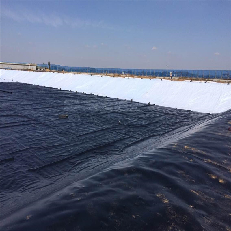 土工膜防渗膜池塘黑色耐老化土工膜 泰安品盛环保科技有限公司网站