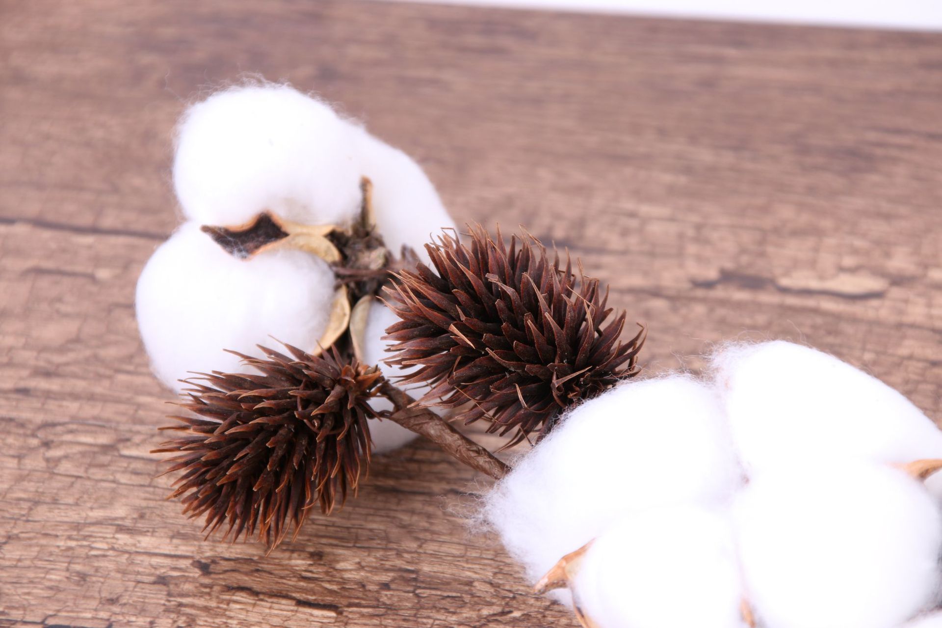 高档仿真花假花棉花单枝客厅装饰插花摄影道具花艺复古永生花批发