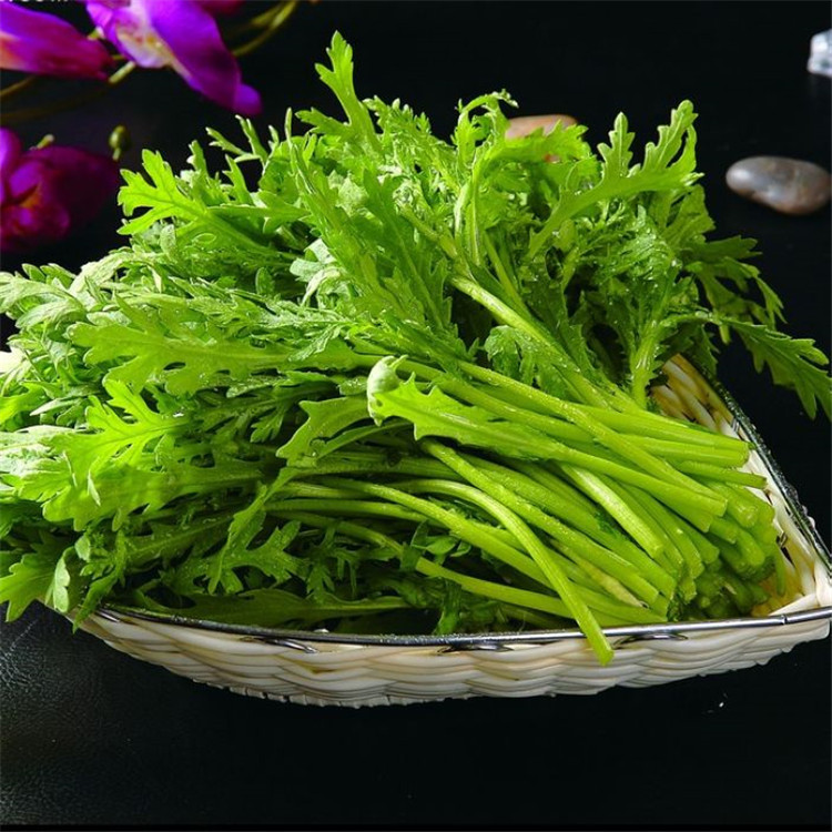 茼蒿菜籽大叶茼蒿种子茼蒿菜种大全秋冬季蔬菜茼蒿种籽四季孑菜苗