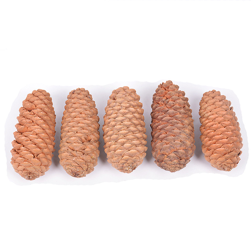 天然松果 圣诞松塔装饰 本地松 马尾松球 家居装饰 拍摄道具