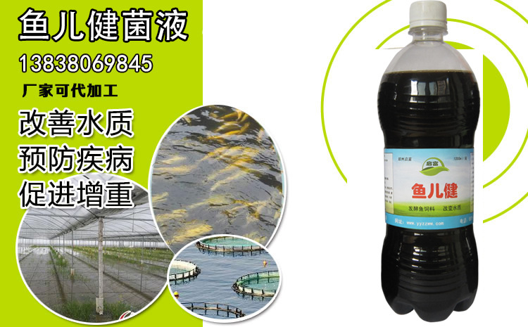 启富鱼儿健养鱼em菌使用方法