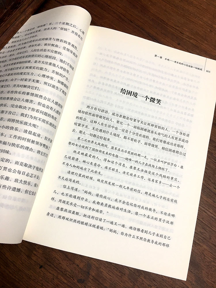 成功励志人生感悟心灵鸡汤正能量书籍高情商修养情绪成功自我实现