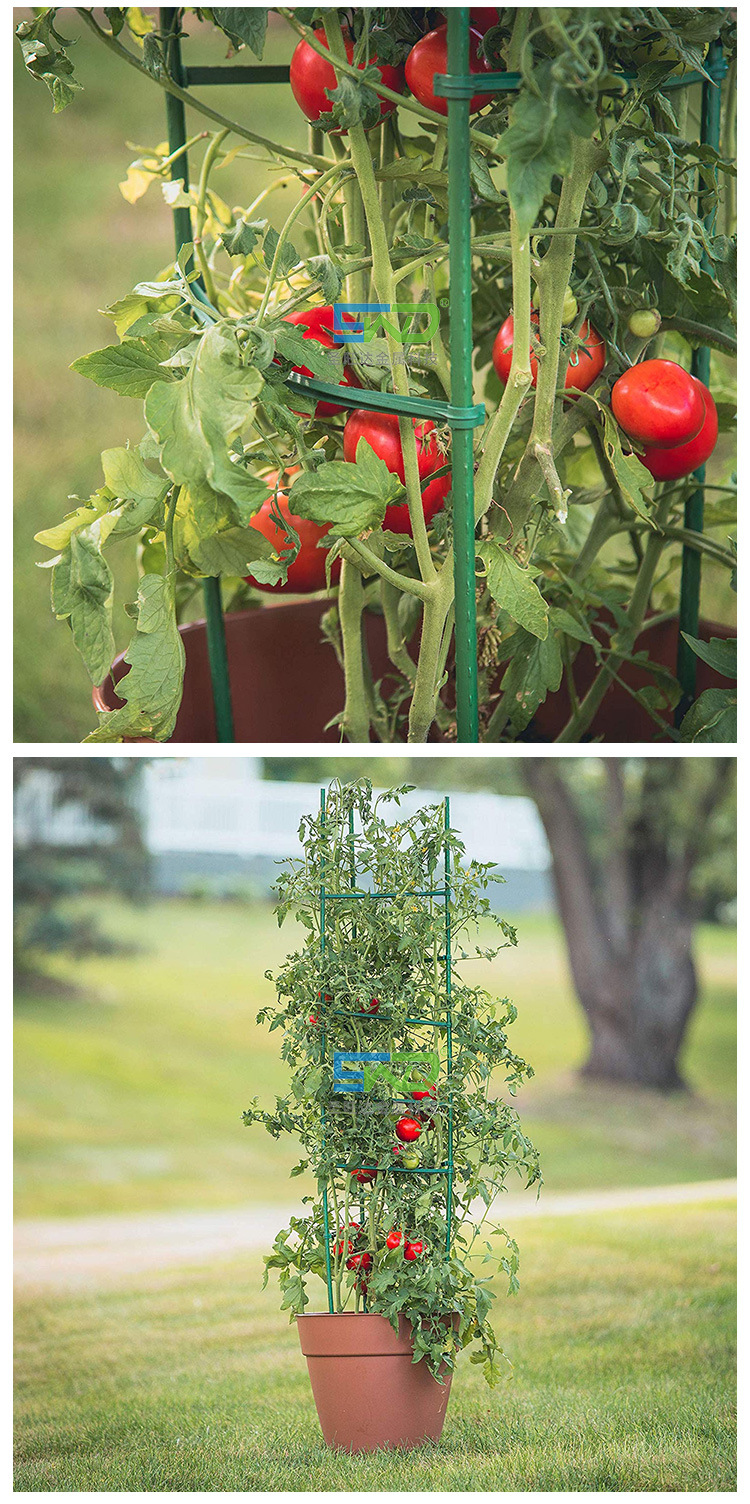 番茄支柱 爬藤支柱支架 阳台种菜 包塑支柱