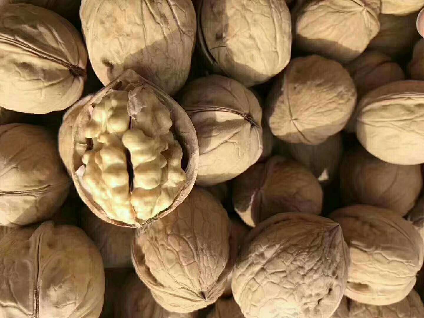 大为薄皮核桃185纸皮核桃纯天然核桃易剥薄皮新疆特产包邮无加工