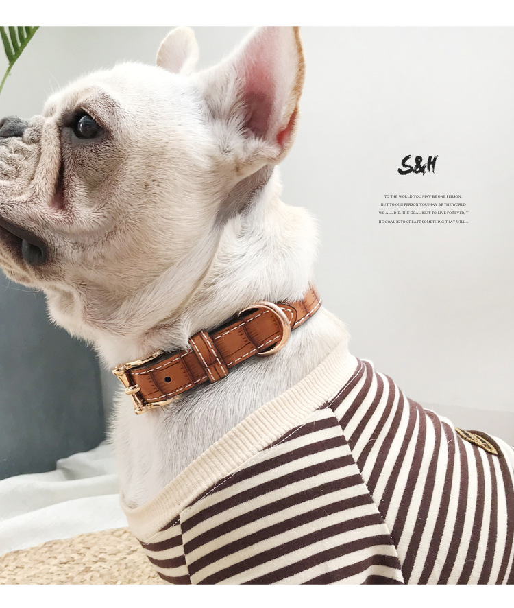 狗狗项圈泰迪小型中型犬脖圈金毛脖套狗圈宠物颈圈式柯基法斗用品