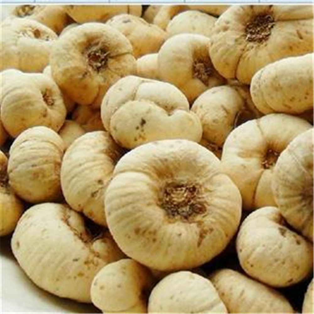 厂家推荐贝母片浙贝母中药材平贝母 浙贝母片