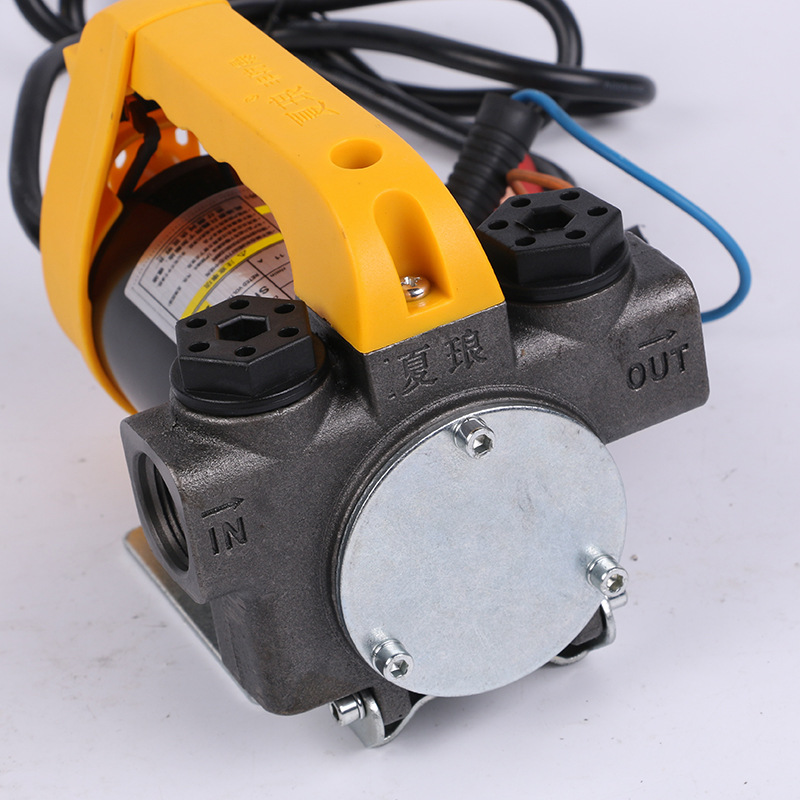 厂家直销 220v电压抽油泵电动加油泵 直流加油泵吸油泵柴油泵
