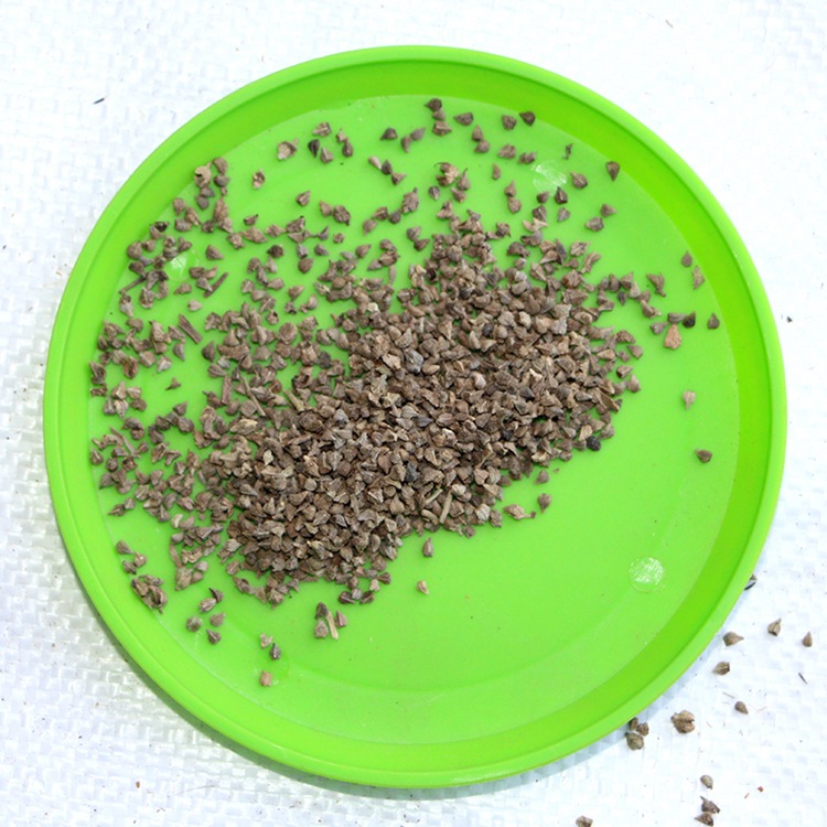 蓝蓟种子 混色 蓝刺头 苏格兰国花 希腊神话大地女神之花 花种子