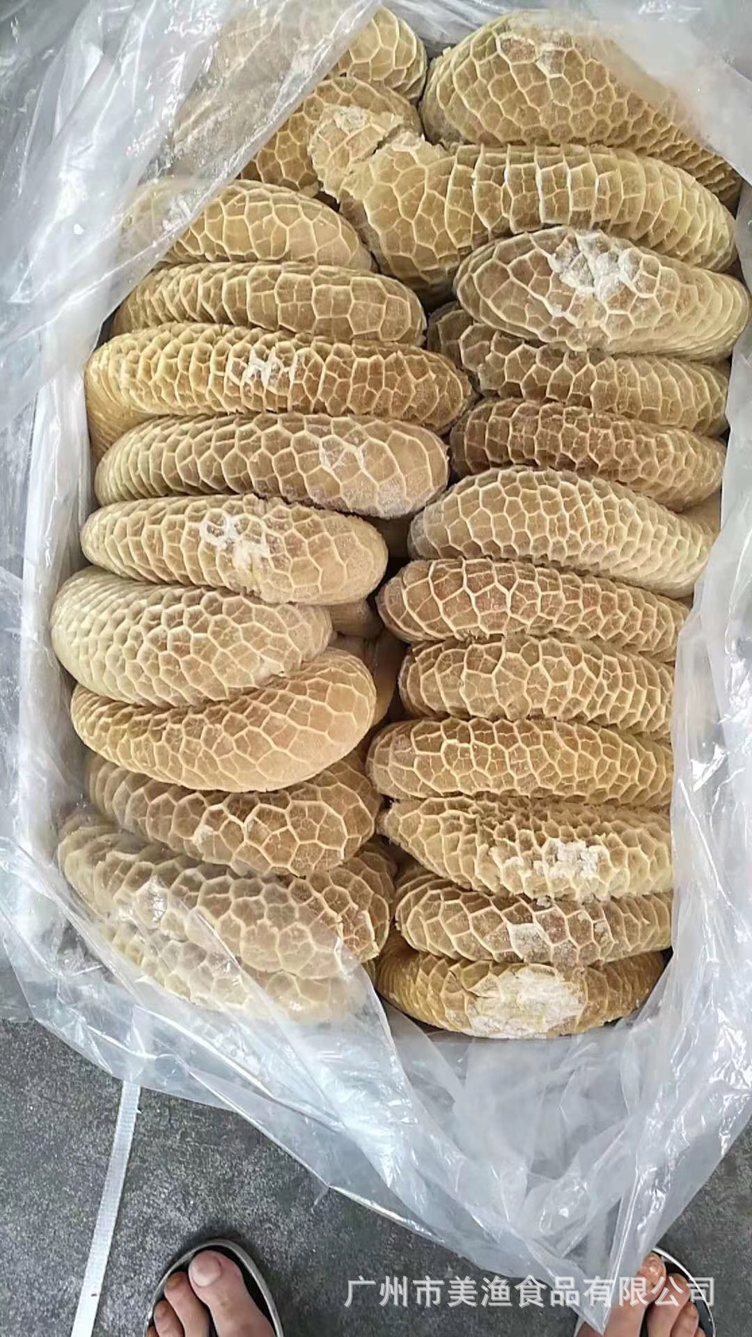金钱肚 蜂窝肚 抄码 冻品金钱肚 牛肚 牛杂蜂窝牛肚 食材 20kg/件