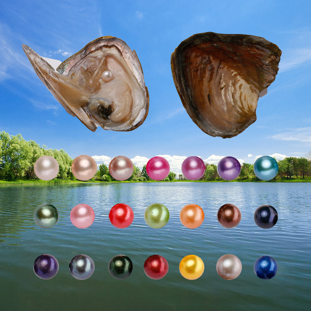 珍珠淡水彩虹色小河蚌一蚌一珠一蚌多珠染色珠外贸出口真空包装