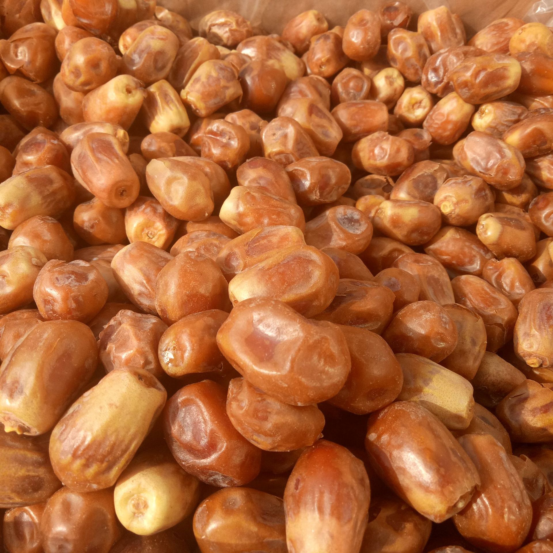 新黄金椰枣 伊拉克特产进口大颗粒天然蜜枣 5斤包邮散装干果零食