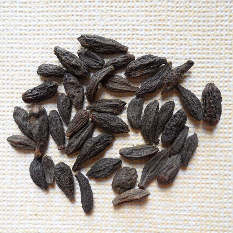 灏运堂中药材批发 青果 西青果 藏青果 现货 量大价优产地直发