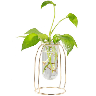 创意金属水培植物玻璃花瓶桌面透明玻璃花器绿萝绿植插花摆件