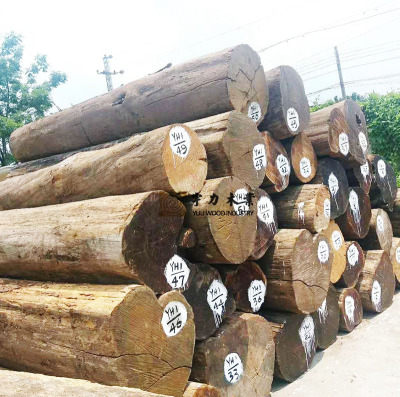 缅甸柚木原木 树大径直 40-100cm 少虫孔结疤 供应量大