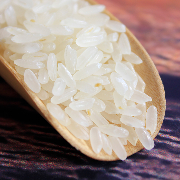 五常长粒香米5kg东北大米农家自产大米粳米产地发货2020年新米