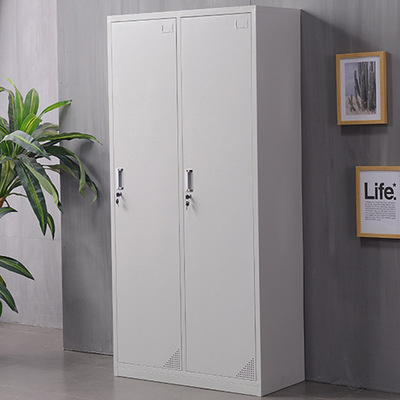 蓉福祥厂家二门更衣柜员工柜 两门更衣柜 健身房衣帽柜储物柜