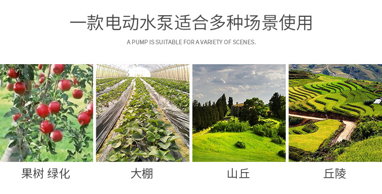 详情切片_02