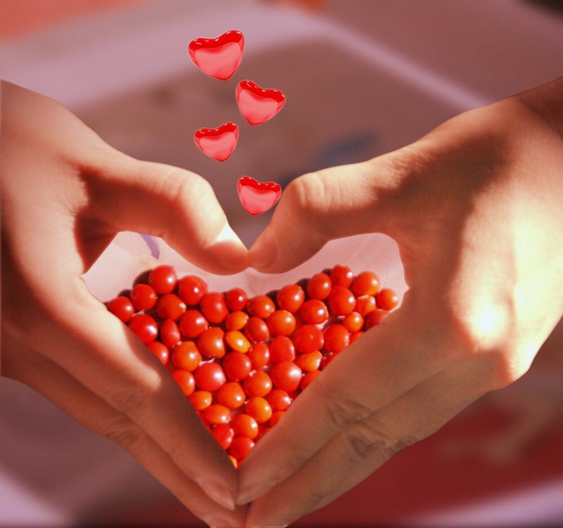 鄂豪珠宝 18k金钻石玛瑙相思豆项链 带证书玫瑰金女士红火惹火链