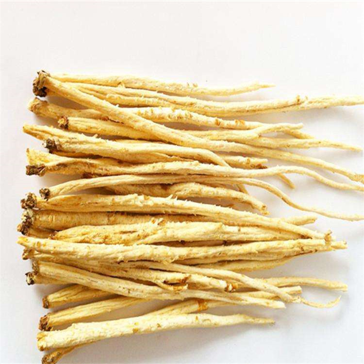 散装北沙参种子销售中药材海沙参银条参莱阳参种子中药材种籽批发