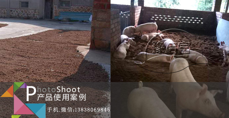 养猪饲料发酵剂案例