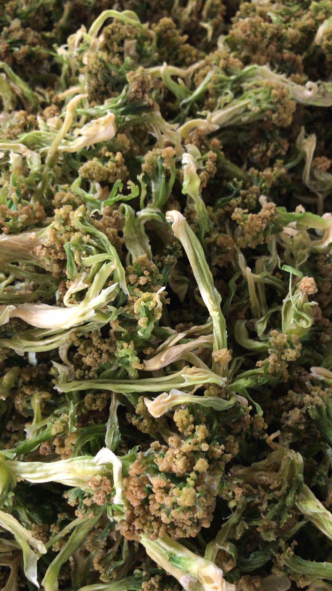 脱水干花菜青花菜松花菜花菜干20斤一件散装