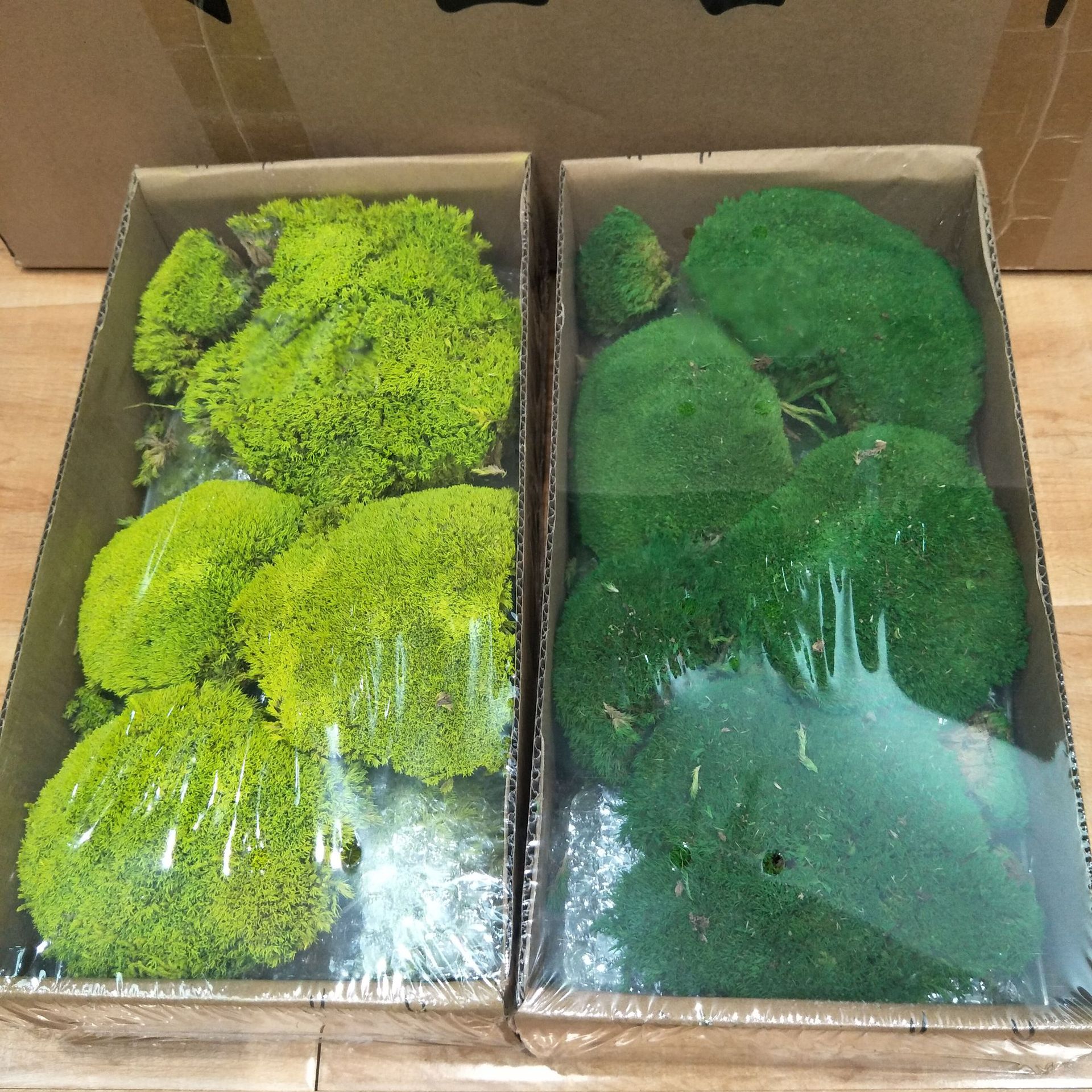 琢磨工艺厂家直销批发永生草青苔块礼盒装饰用永生草100克每盒