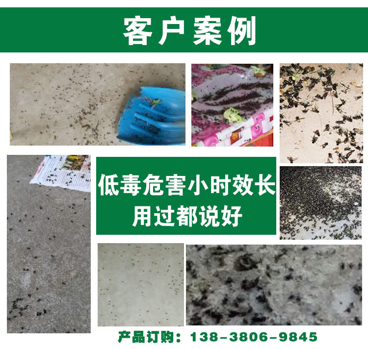灭蝇9号客户案例