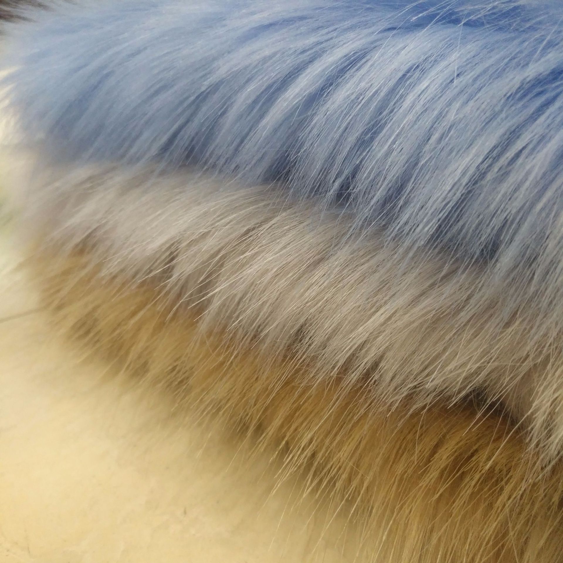 现货26色 大狐狸毛 60mm精品狐狸毛 高克重人造毛皮 长毛绒面料