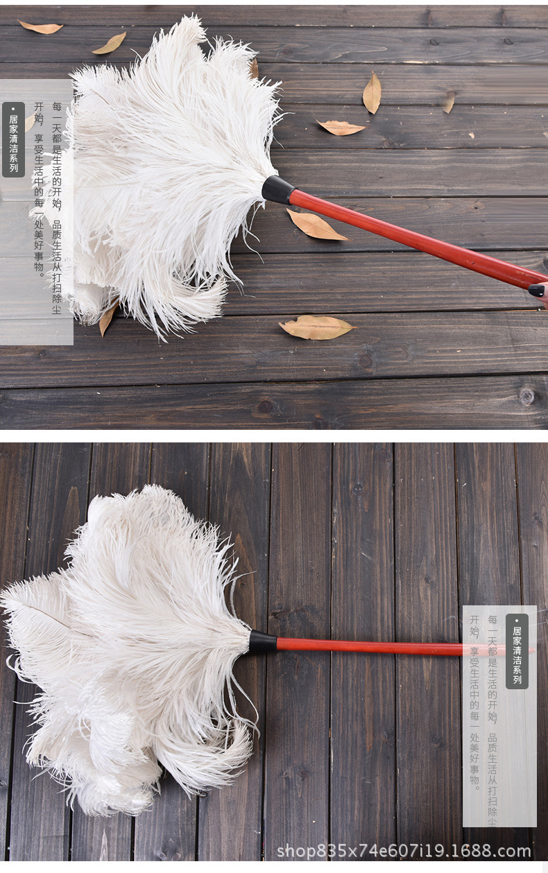 f08实木柄白色鸵鸟毛掸除尘掸子家用鸡毛掸子扫灰神器车用灰尘掸