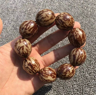 花根菩提