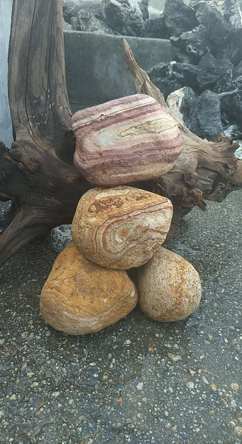 木纹石 天然黄白色鹅卵石 彩虹石 黄砂岩鹅卵石园林石