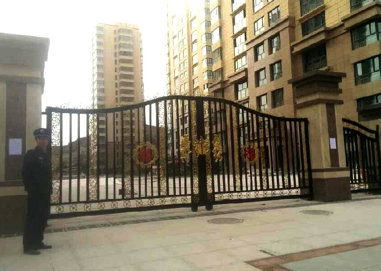 小区房地产家园铁艺平开大门定做款式005