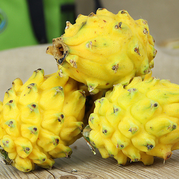 哥伦比亚麒麟果 黄皮火龙果 火龙果6-8颗礼盒原装箱