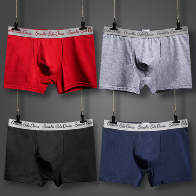 男士内裤男棉质男平角裤秋冬四角内裤青年男生裤头男内裤头