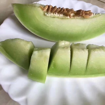 上海南汇玉菇甜瓜青皮绿肉瓜香瓜 当季时令新鲜水果哈密瓜