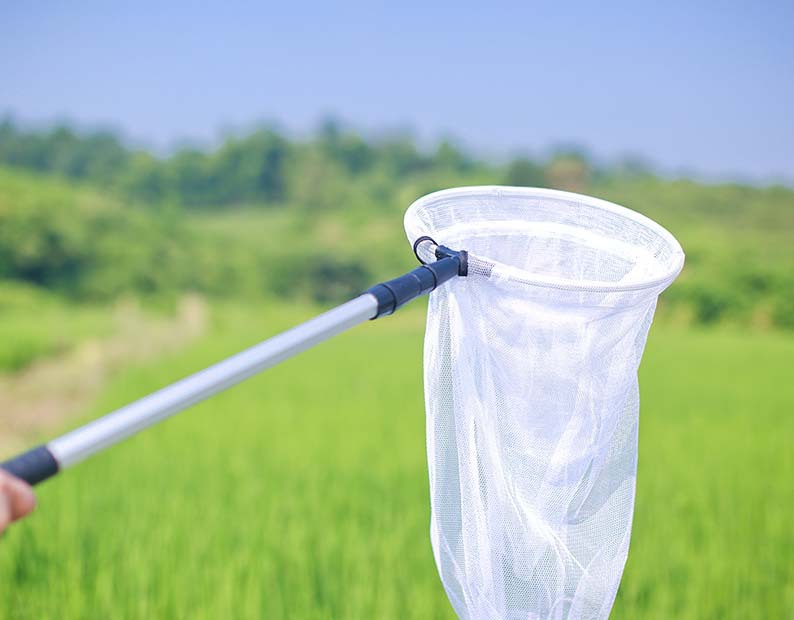 双层白加深捕虫网 伸缩铝合金抄网 折叠儿童蝴蝶蜻蜓知了昆虫网兜