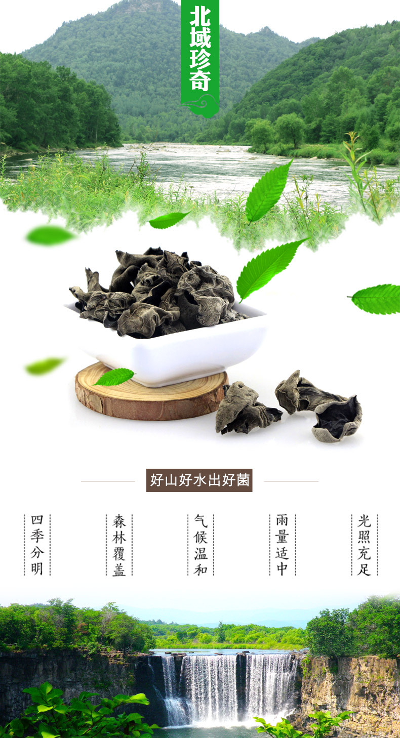 北域珍奇东北特产秋木耳干货厂家直销散装批发