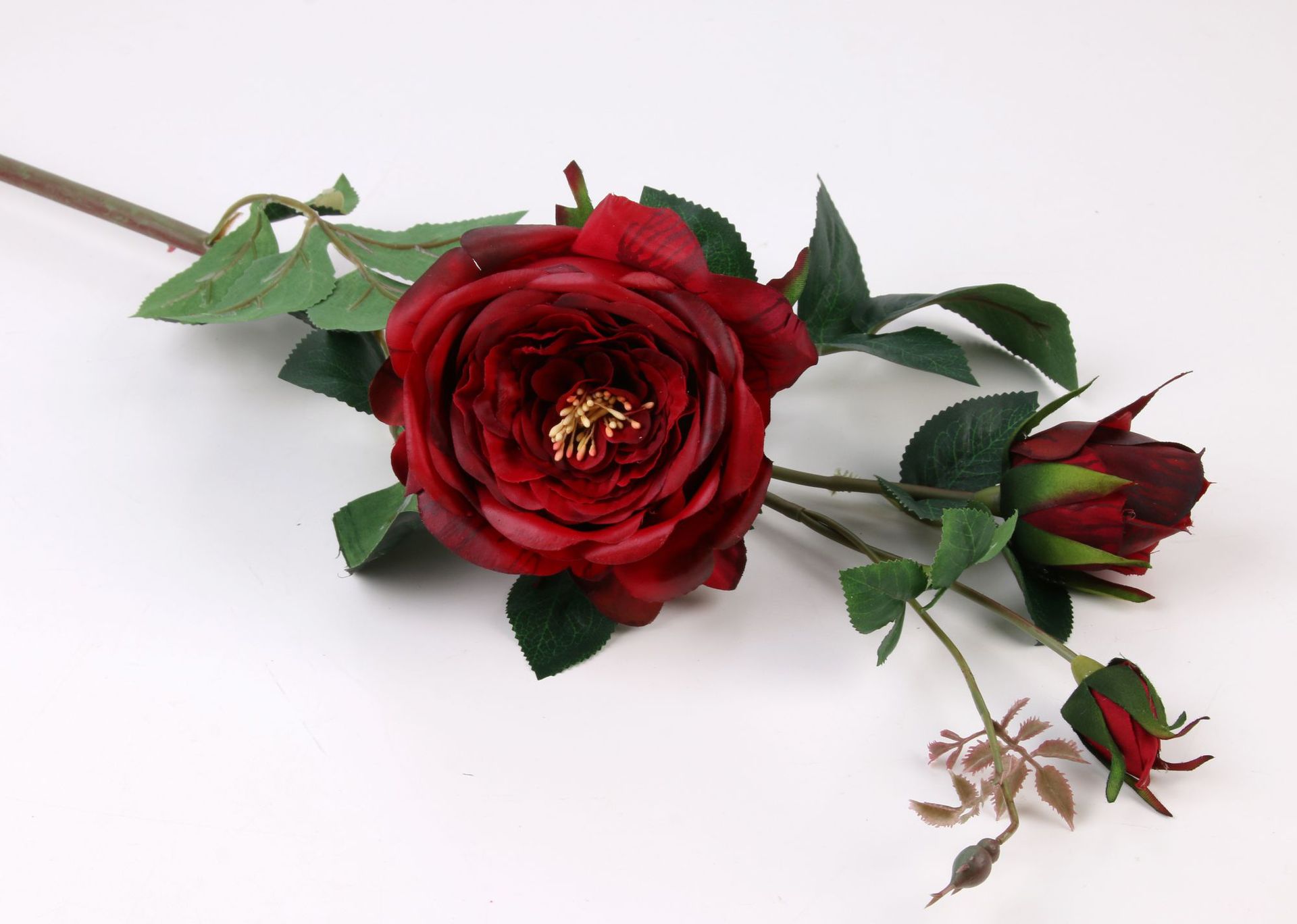 产品名品:英国皇室玫瑰 产品尺寸(cm): 产品重量(kg):0.