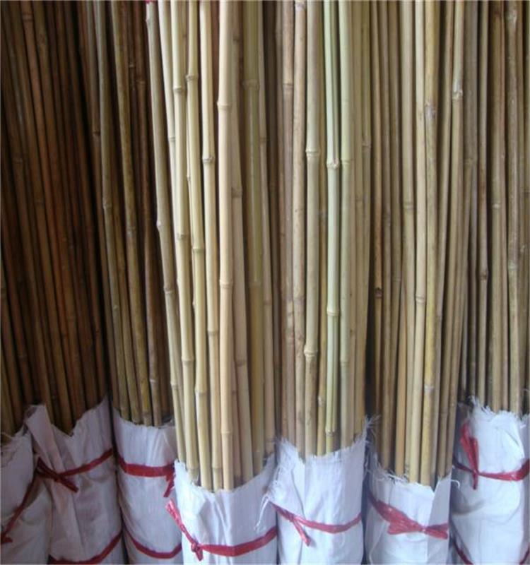 供应福建厘竹 茶竿竹 超市包装 竹竿