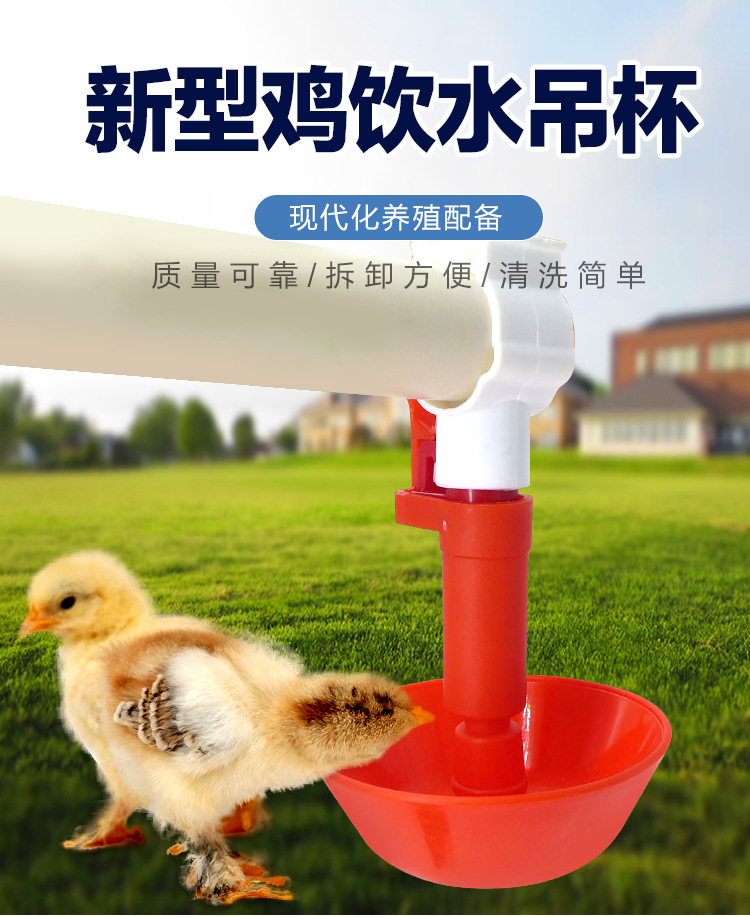 鸡用鸽子自动饮水器鸡用吊杯自动饮水器小鸡乳头饮水碗家禽喂水器