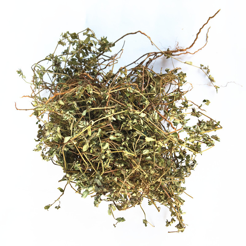 中药材 地锦草野生新货 地锦草 血见愁 卧蛋草铺地草 1000g奶浆草