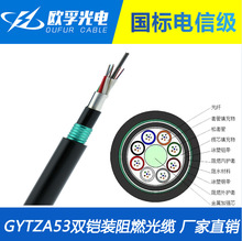 GYTZA53-16b1 层绞式阻燃双铠装光缆线 直埋高铁直埋 16芯GYTZA53