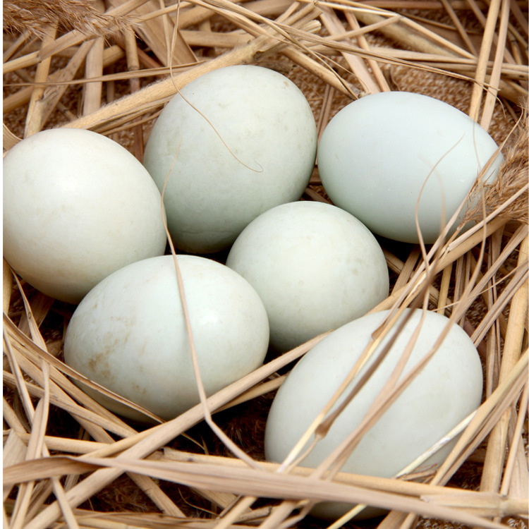 至顺 白洋淀咸鸭蛋 62g*15枚 雄安特产 烤鸭蛋双黄鸭蛋松花蛋厂家