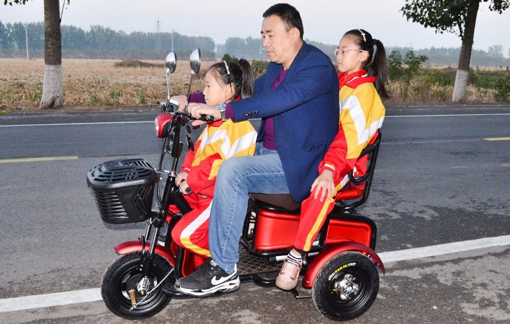 双人成人三人代步车电动车老年老人电动三轮车成人接送孩子电瓶车